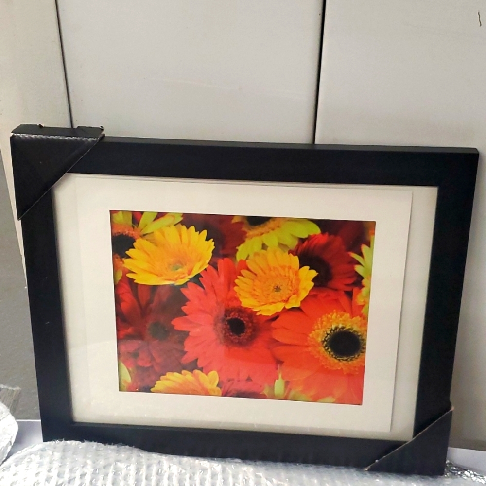 Framed New Floral Art Print Red Yellow Daisys Home Decor, Vintage Art Prints